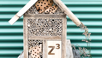 Insectenhotel van resthout
